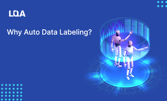 Auto Data Labeling