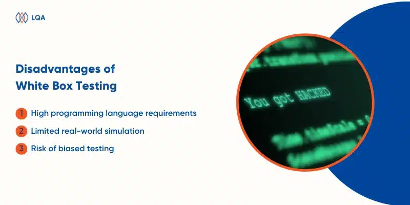 disadvantages of white box penetration testing