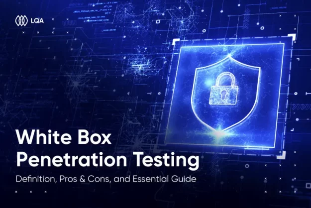 white box penetration testing