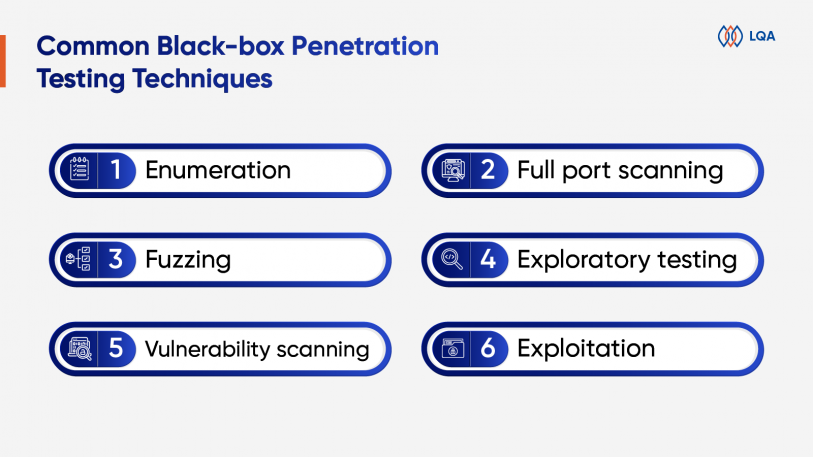 black box penetration testing techniques
