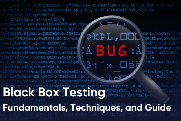 black box testing