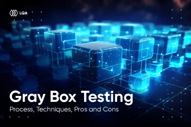 Gray box testing
